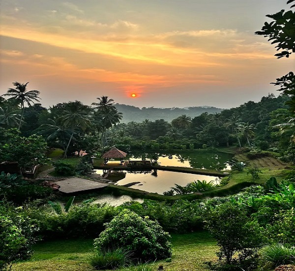 Greenara Life LLP Kondotty Malappuram