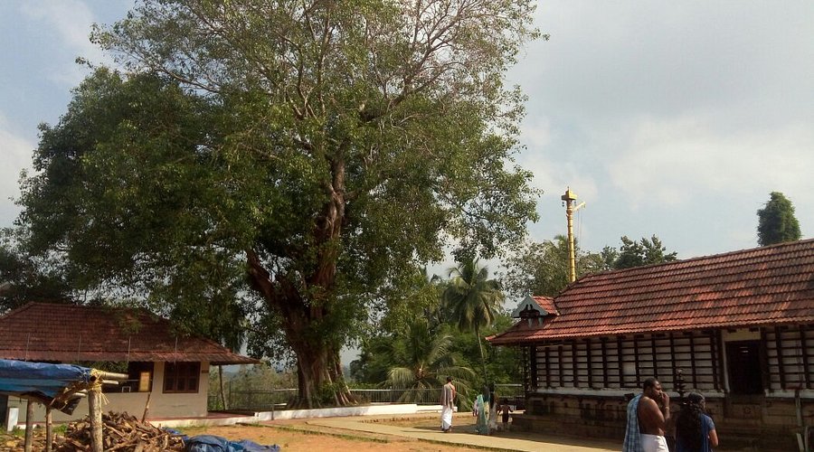 Thirumandhamkunnu Bhagavathy Temple, Malappuram history