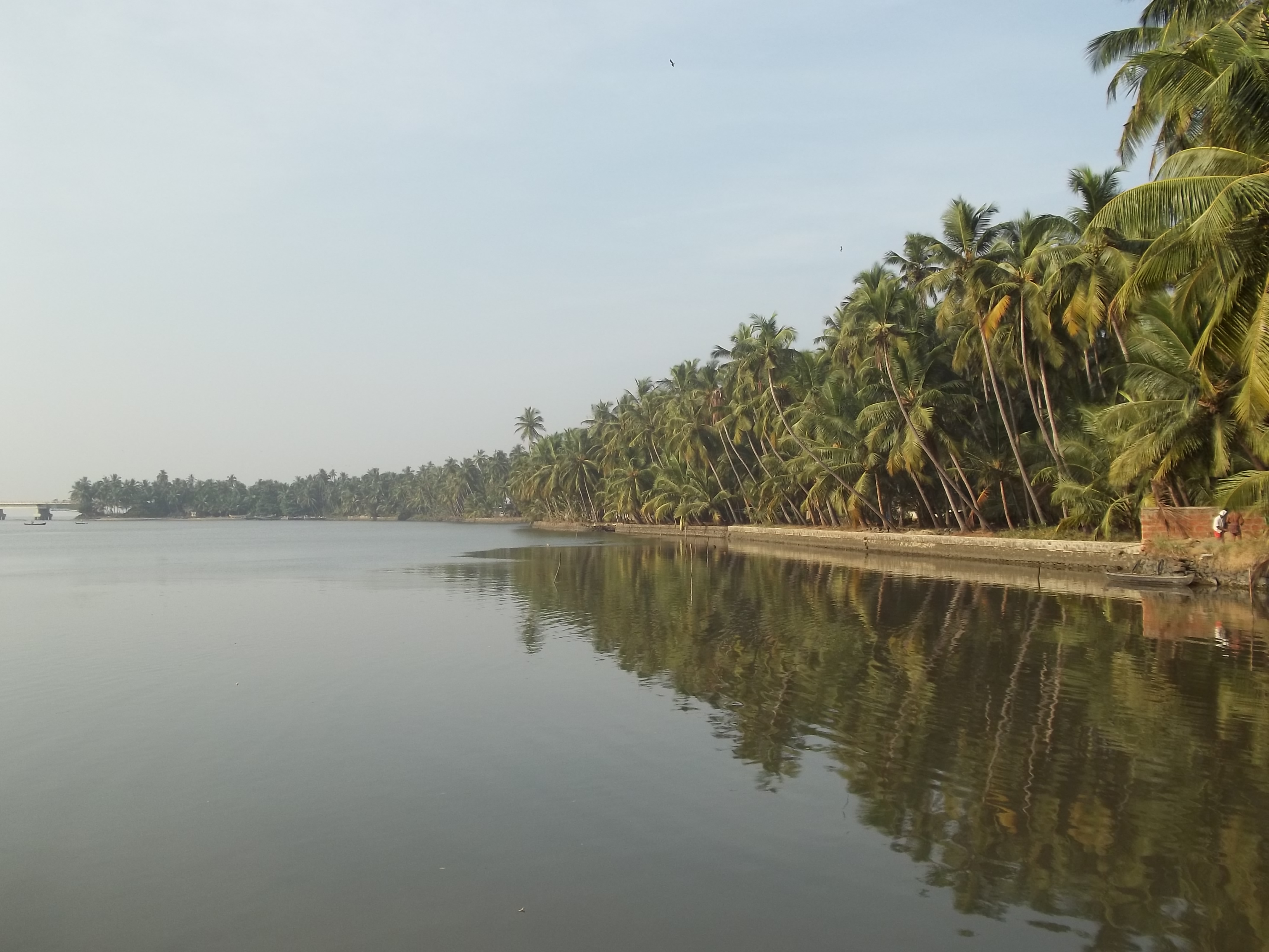 Kadalundi Bird Sanctuary, Malappuram view