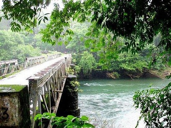 Nedumkayam Rain Forest, Malappuram history