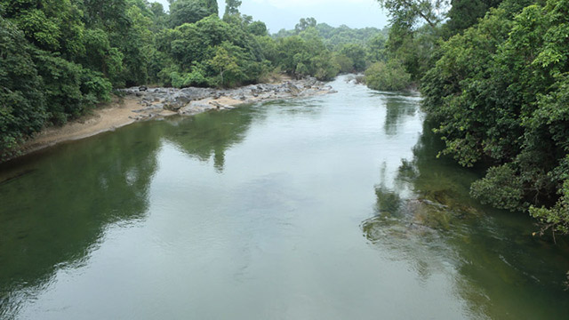 Nedumkayam Rain Forest, Malappuram is a unique and interesting tourist destination