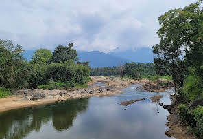 New Amarambalam Reserved Forest, Malappuram history