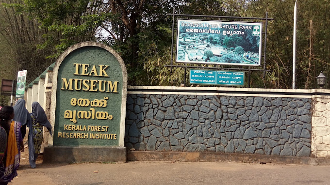 Teak Museum Nilambur, Malappuram a two-storey building, is the world's first teak museum