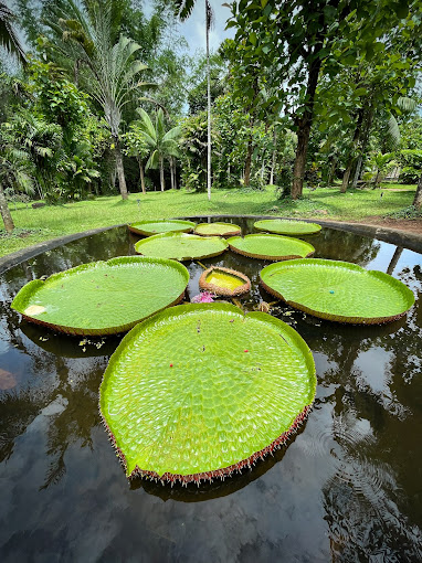 Teak Museum Nilambur, Malappuram  is a unique and interesting tourist destination